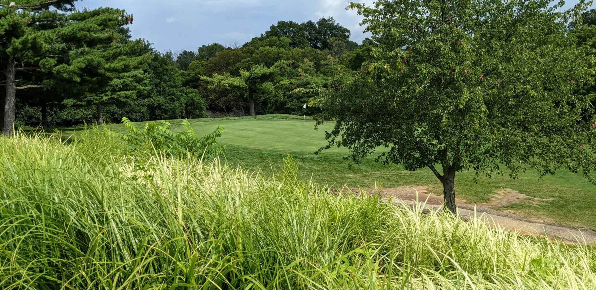 Kenton County Golf Courses Pioneer Willows Golf Courses Independence KY