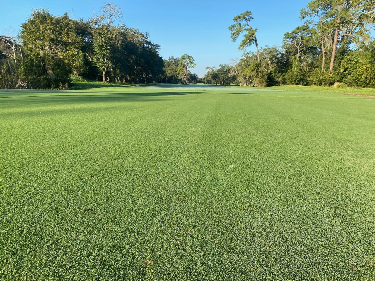 Blue Cypress Golf Course Golf Courses Jacksonville, Florida