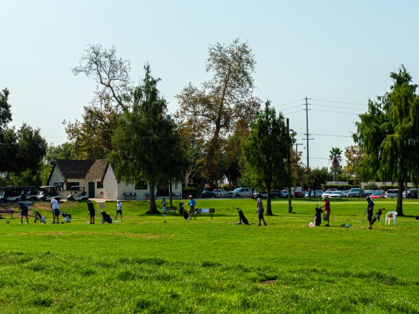 Willowick