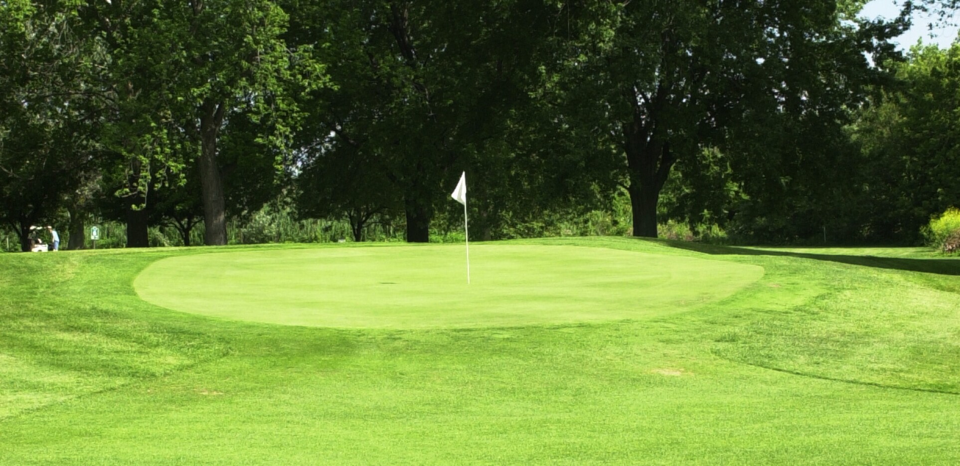 Burnham Woods Golf Course, Forest Preserve Golf