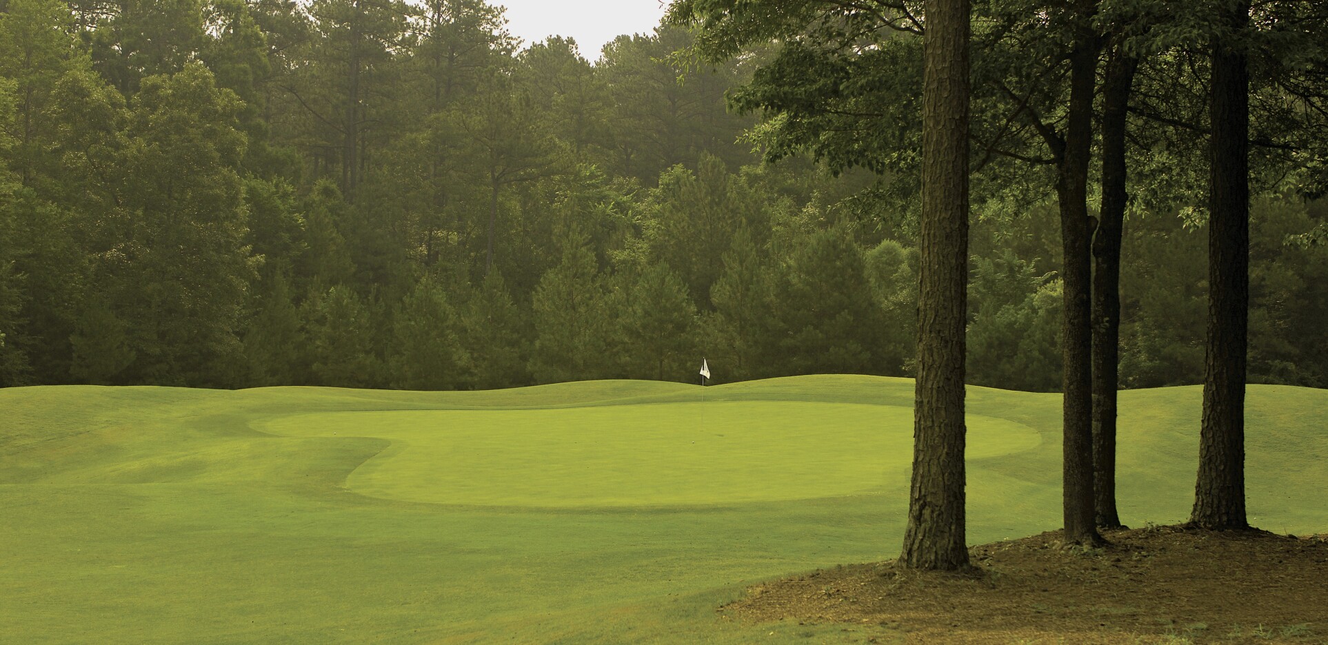 Stonebridge Greens