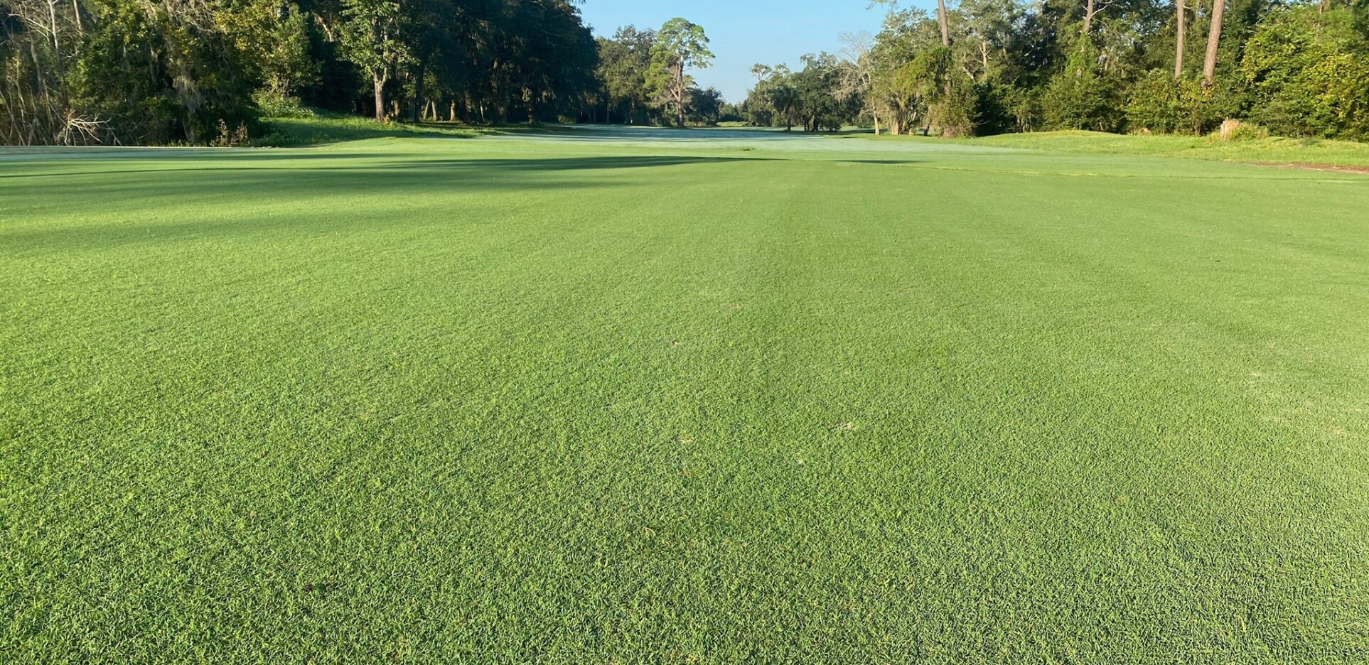 Blue Cypress Golf Course Golf Courses Jacksonville, Florida