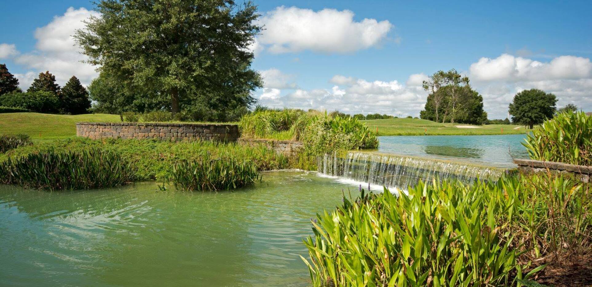 Arlington Ridge Golf Club Leesburg, Florida