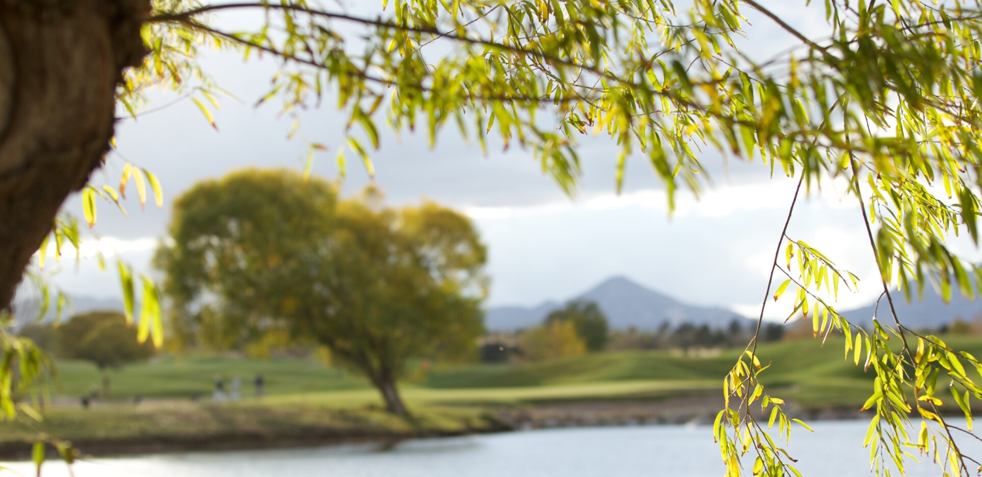 Antelope Hills Golf Courses Prescott, Arizona