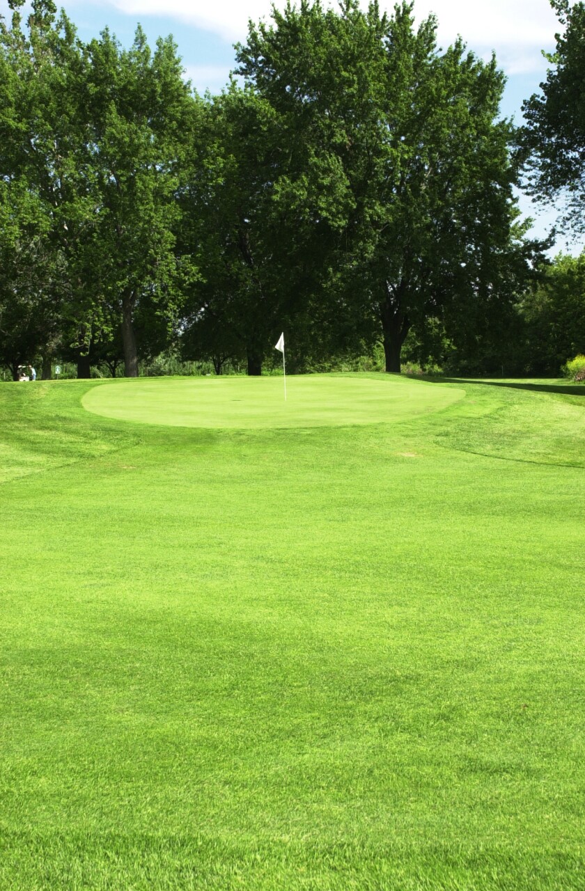 Golf Course in Burnham IL Burnham Woods Golf Course