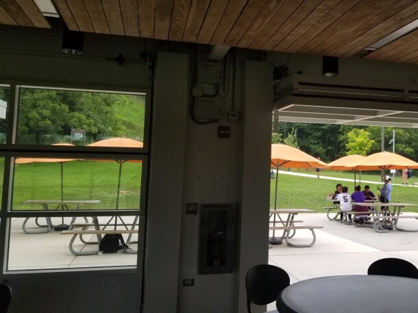 swallow cliff inside