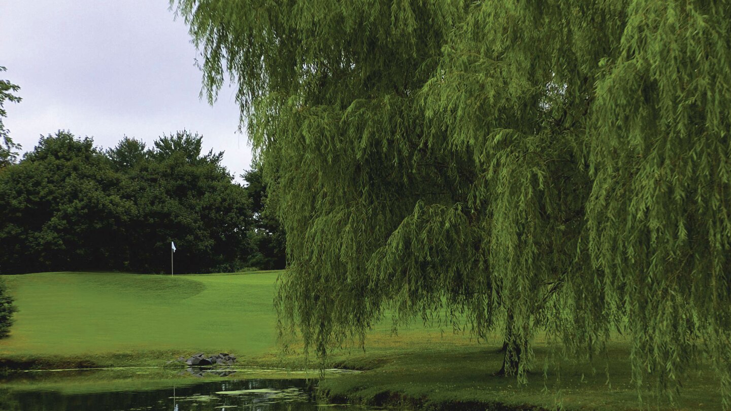 Golf Course in West Windsor Township Cranbury Golf Club Golf Course in West Windsor Township Cranbury Golf Club