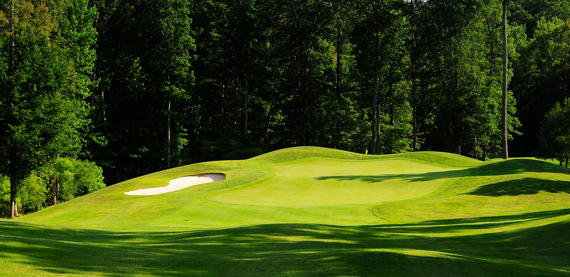 Forest Greens Golf Course in Triangle Virginia