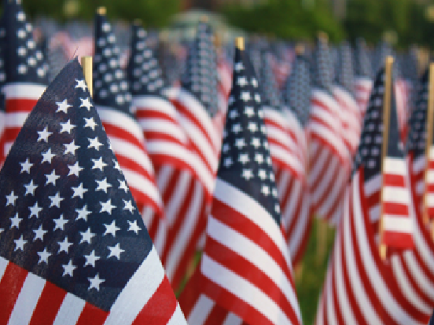 Small American Flags lined up in grass