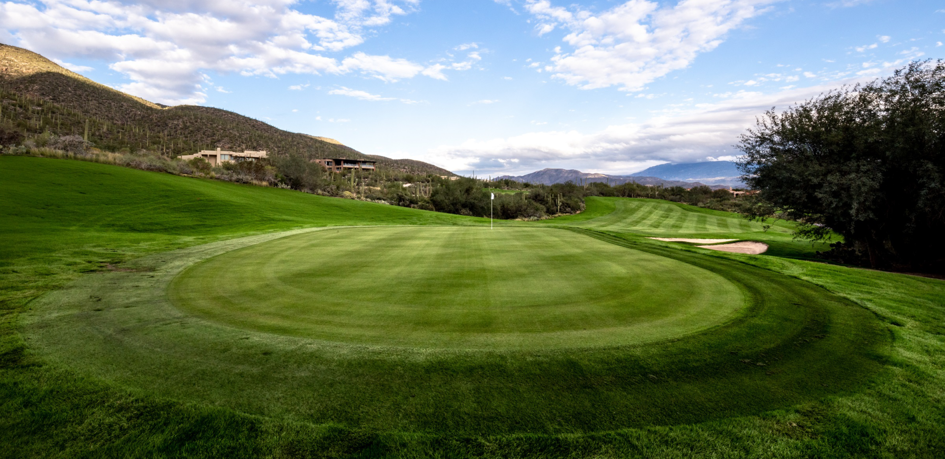 Arizona National golf course green