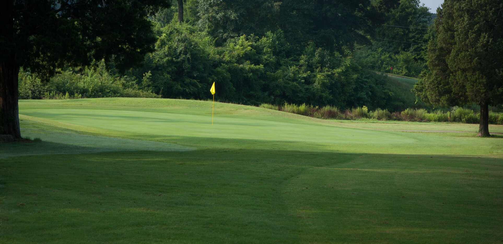 Knoxville Municipal Golf Course - Greens