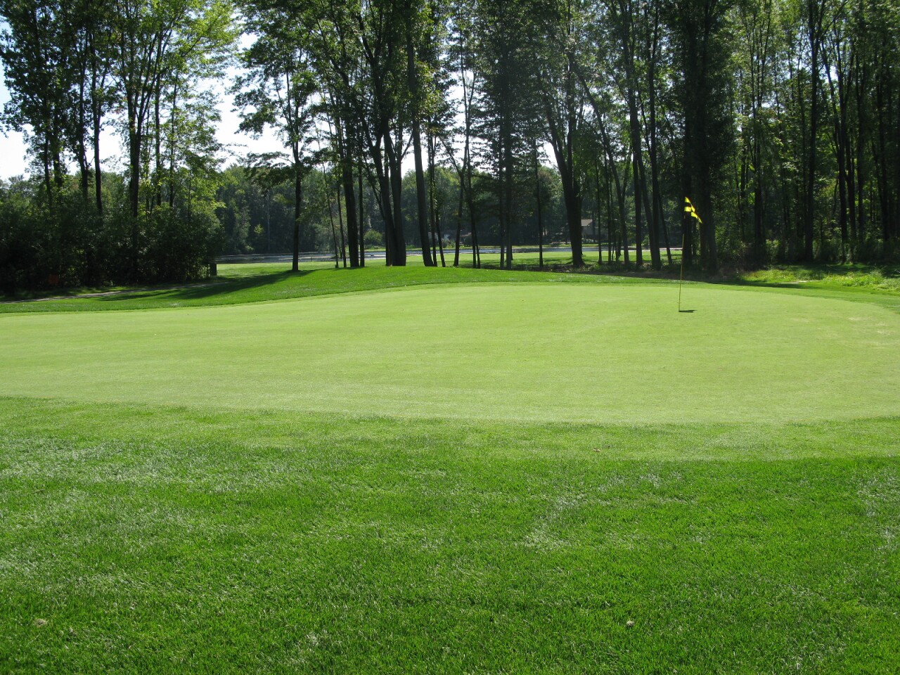 Sanctuary Lake Golf Course Golf Courses Troy Michigan