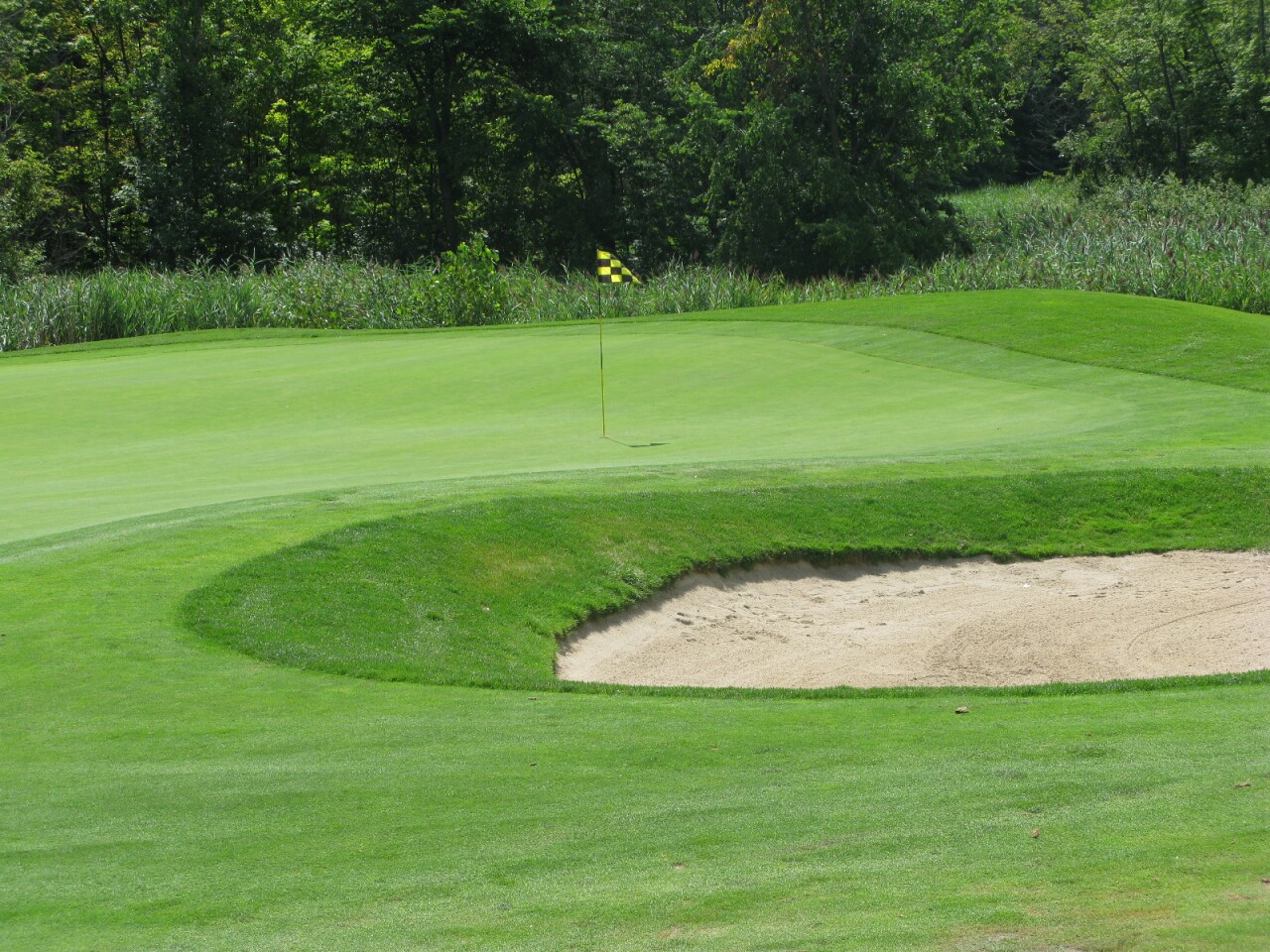 Sanctuary Lake Golf Course Golf Courses Troy Michigan