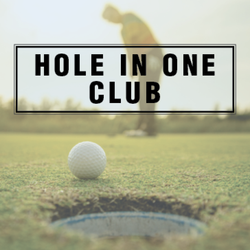 Brentwood hole in one club