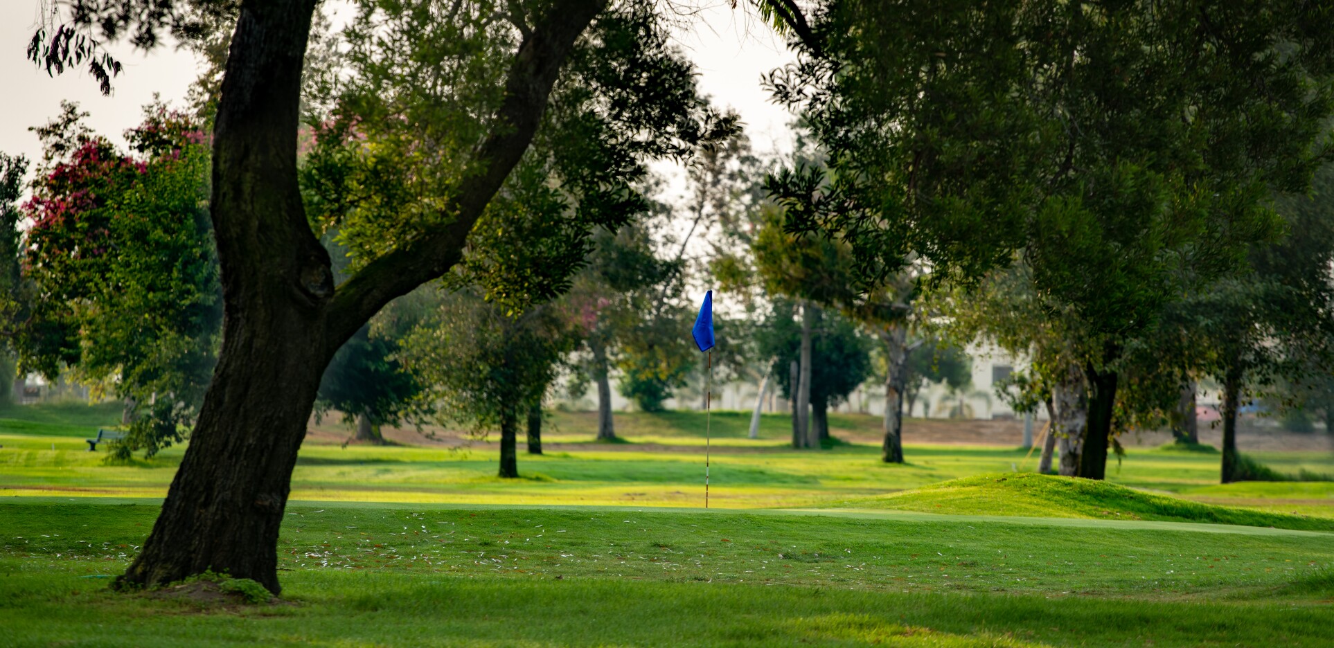 Willowick Golf Course Santa Ana, California
