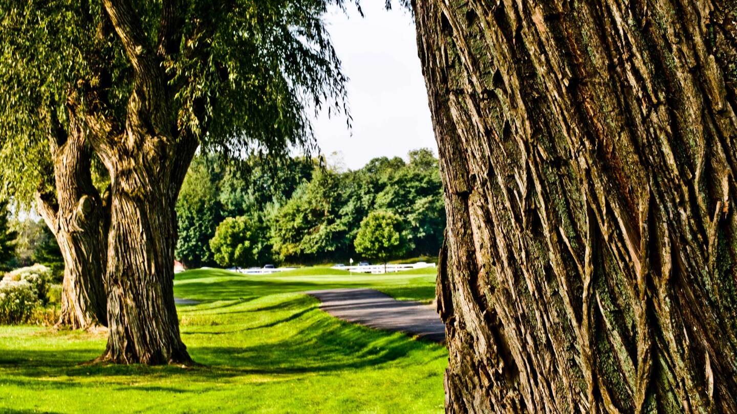 Golf Course in Florham Park New Jersey Pinch Brook Golf Course