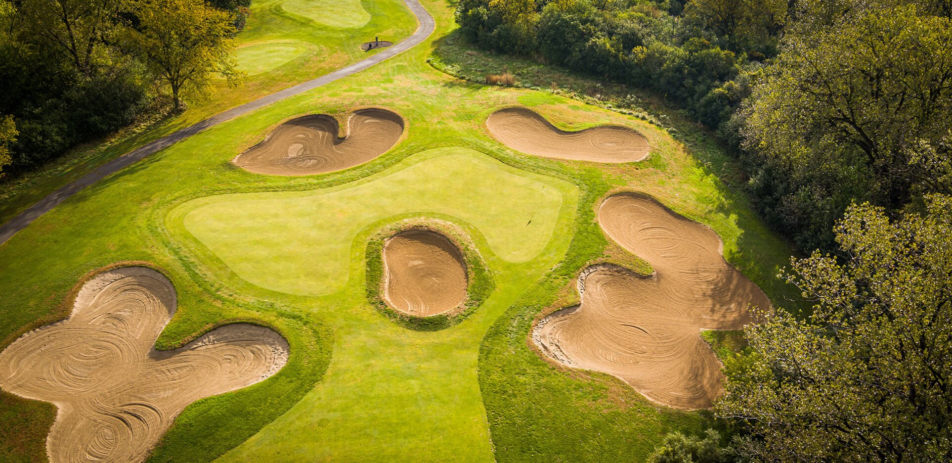 Golf Course in Oak Forest IL W. Dunne National