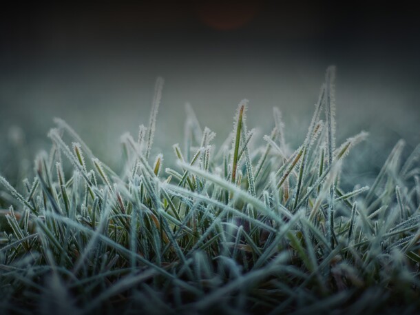 Winter Closed for Season