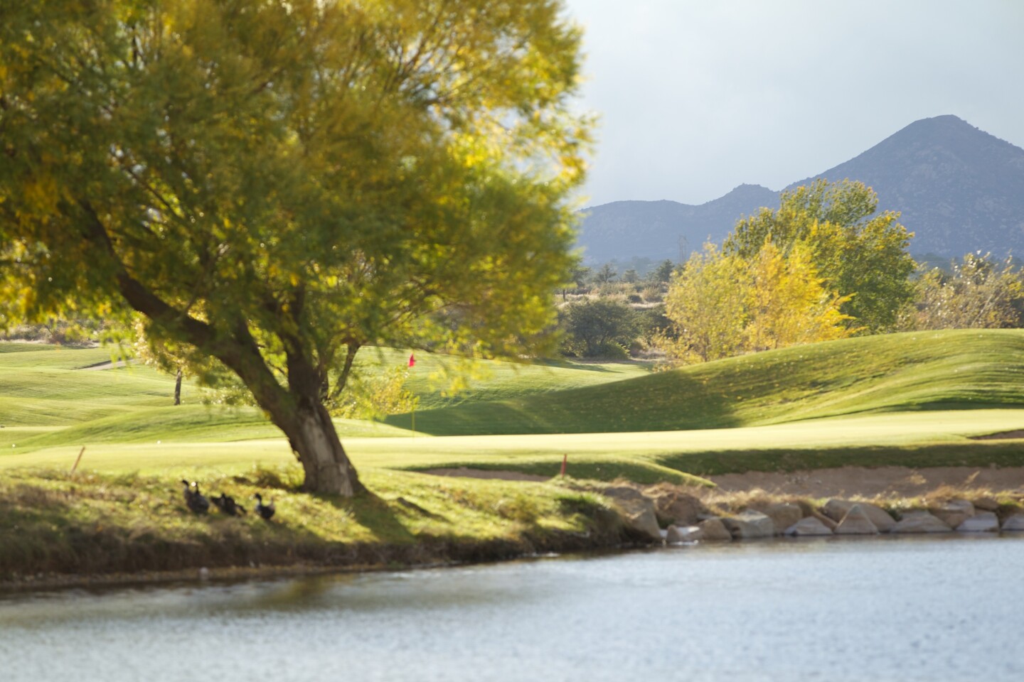 Golf Course Near Me Prescott Arizona Antelope Hills Golf Courses
