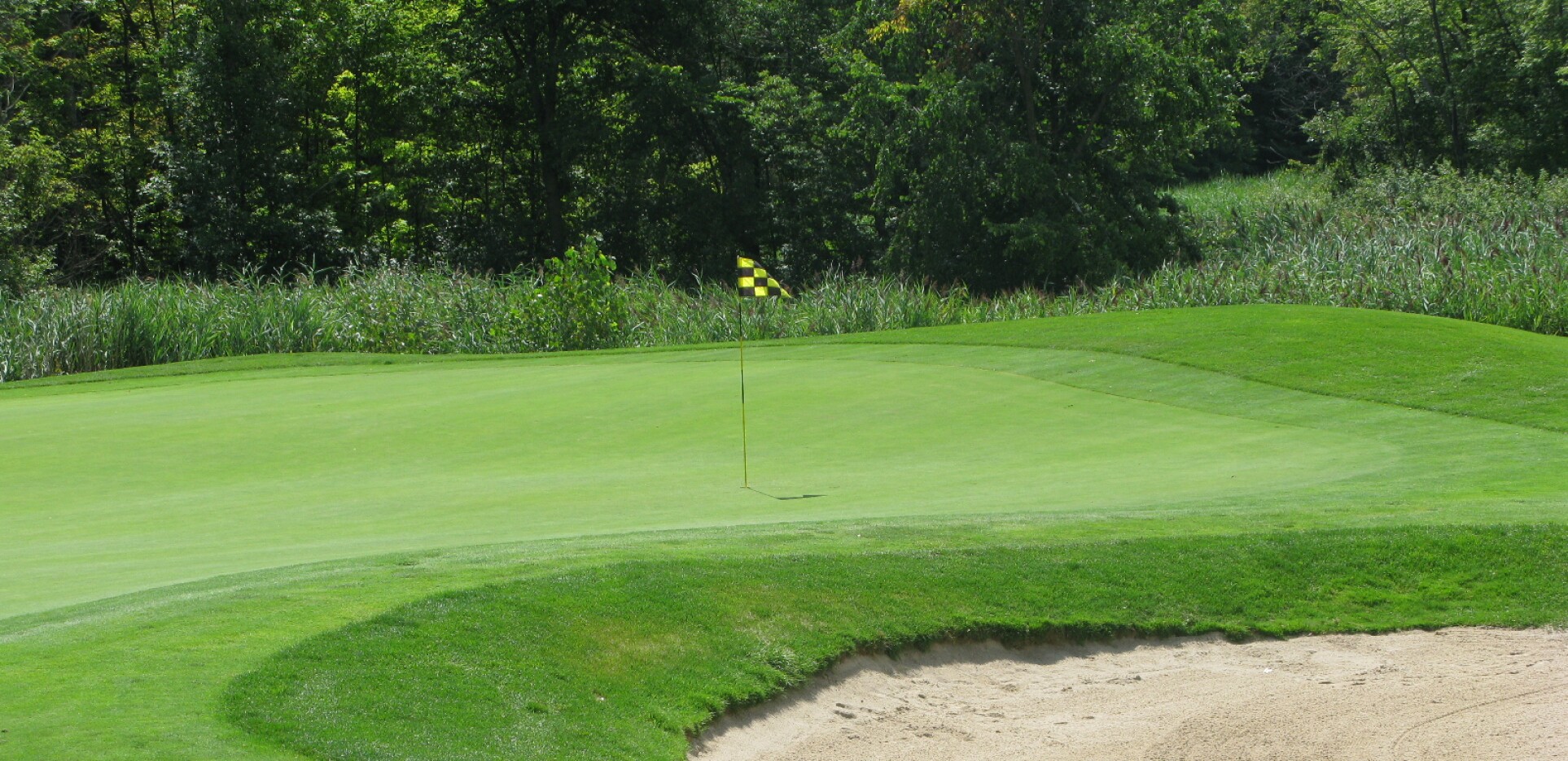 Sylvan Glen Golf Course Golf Courses Troy Michigan