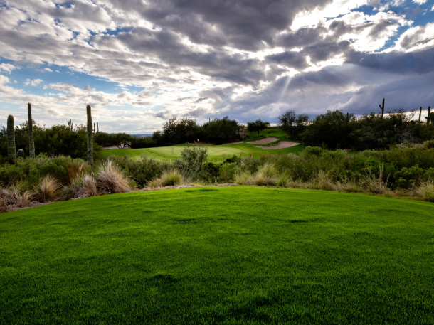 Arizona National golf course